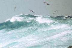 02_roughers_in_the_Irish_Sea_March1970