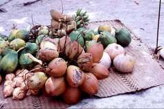 23_Gifts_to_Captain_Lo_Island_New_Hebrides_Sept1970