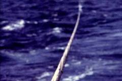 27_HMNZS_Waikato_under_tow_Oct1970