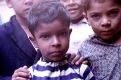 37_urchins_St_Helena_June1970