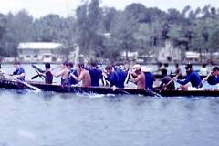 47_war_canoe_race_Gizo_Sept1970