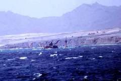 48_wreck_at_entrance_to_Cape_Verde_harbour_June1970