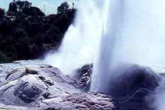 Rotorua_geiser